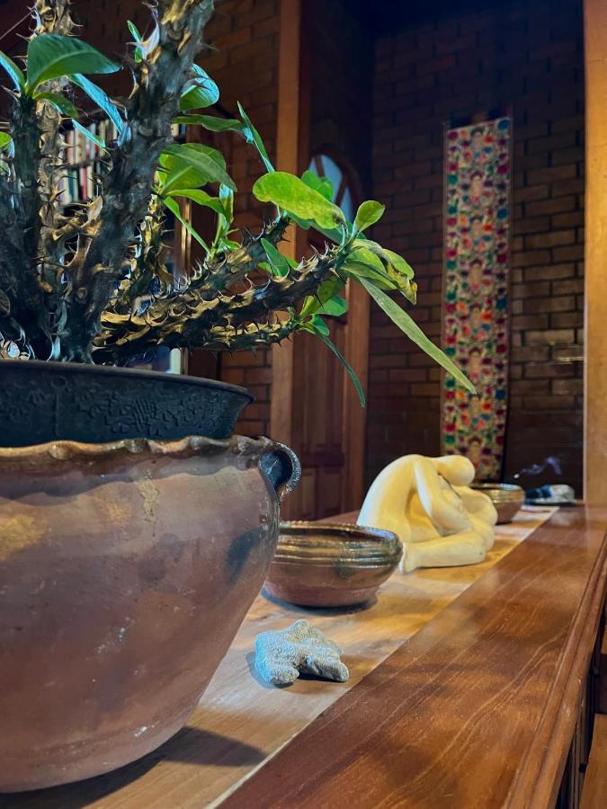 Casa Qatzij - Guest House, Lake Atitlan San Lucas Tolimán Kültér fotó